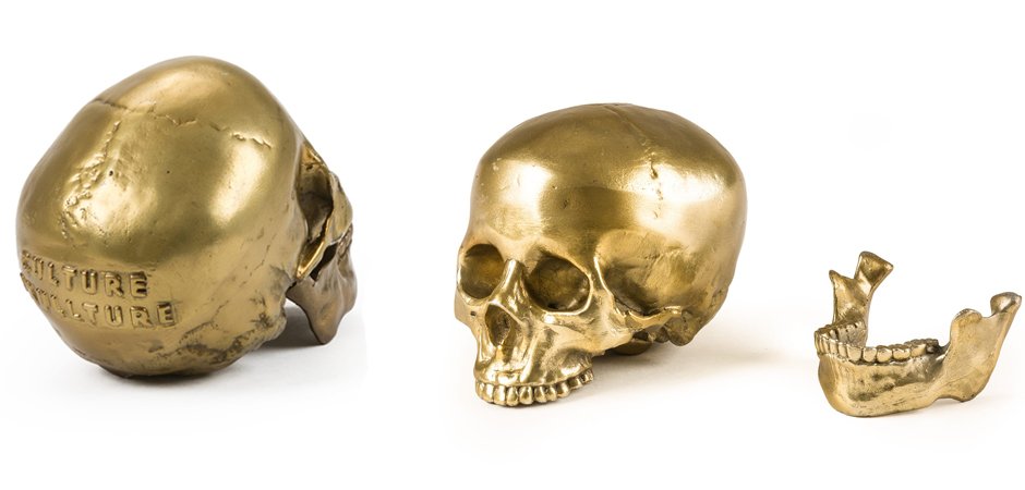 Статуэтка Seletti Wunderkrammer Human Skull Статуэтка Seletti Wunderkrammer Human Skull - Loft-Concept в Липецке