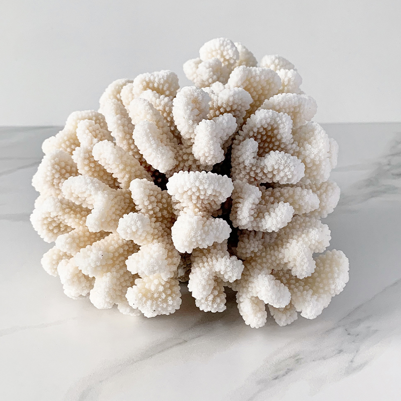 Статуэтка Brownstem Coral Статуэтка Brownstem Coral в Липецке | Loft Concept
