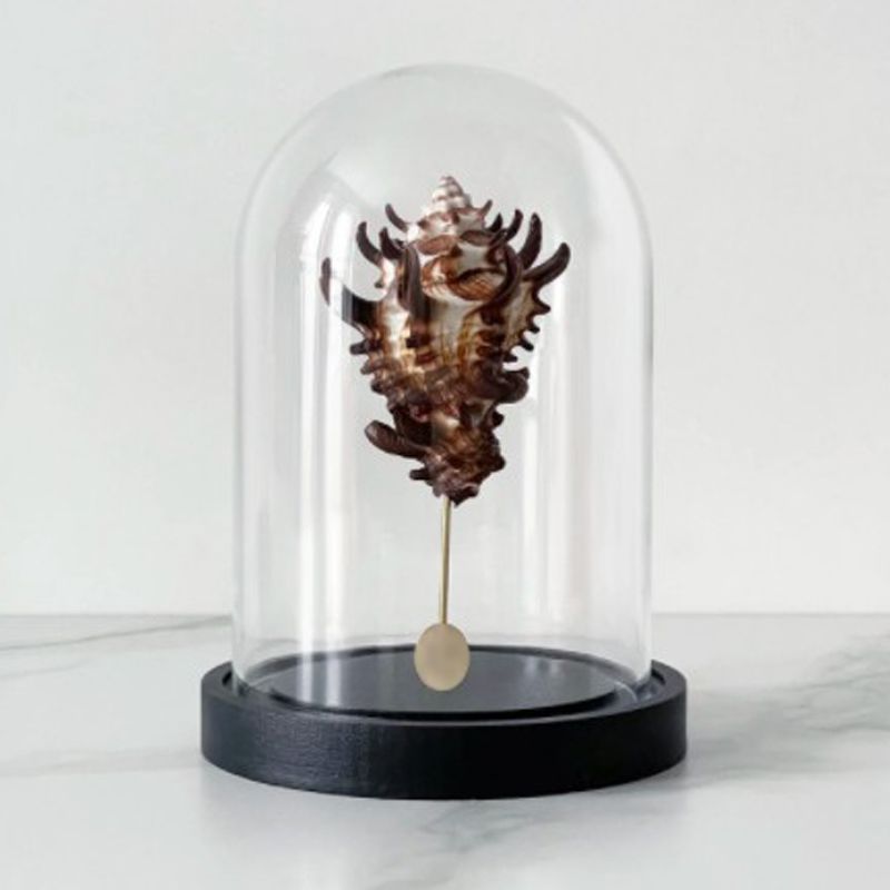 Статуэтка Vasum Tubiferum Glass Cloche Статуэтка Vasum Tubiferum Glass Cloche в Липецке | Loft Concept