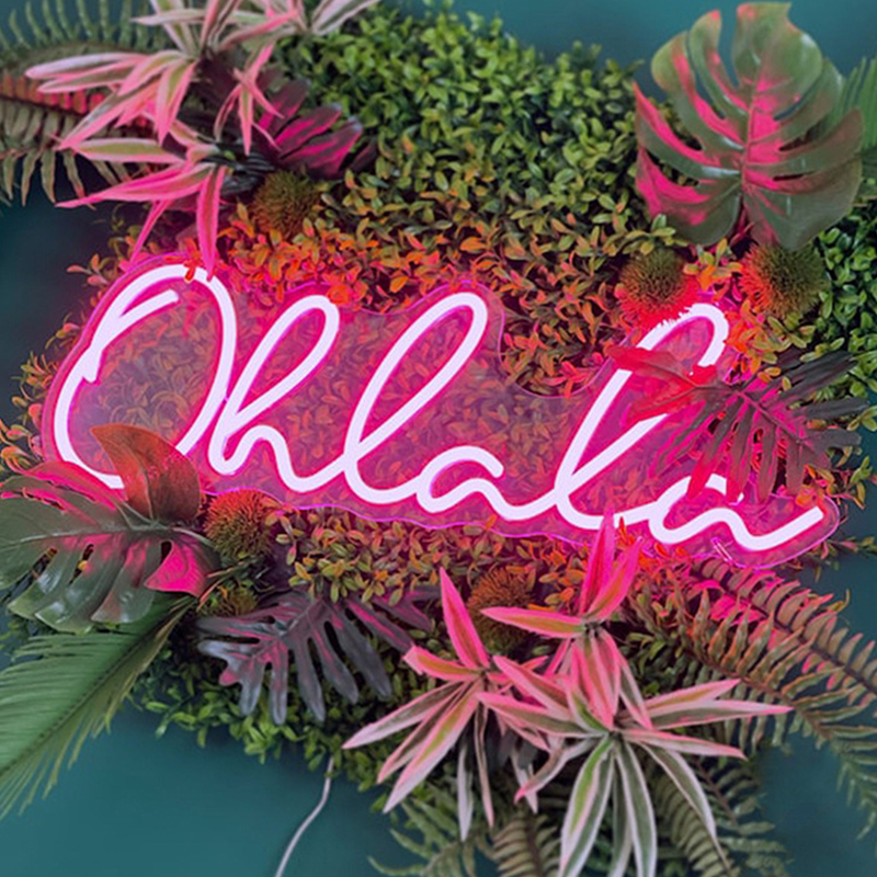 Неоновая настенная лампа Oh La La Neon Wall Lamp Розовый Розовый Прозрачный Неоновая настенная лампа Oh La La Neon Wall Lamp Розовый Розовый Прозрачный в Липецке | Loft Concept