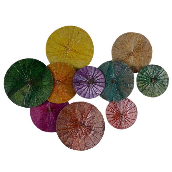 Арт-объект Disc wall art Lotus leaves Мульти Арт-объект Disc wall art Lotus leaves Мульти в Липецке | Loft Concept