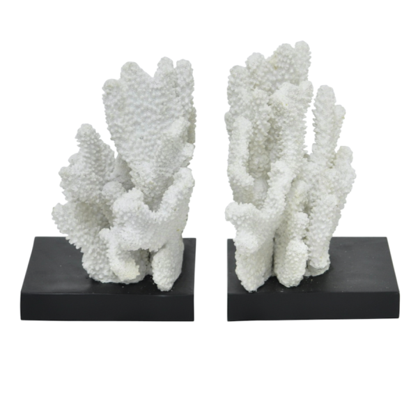 Держатели для книг White Coral Белый в Липецке | Loft Concept 