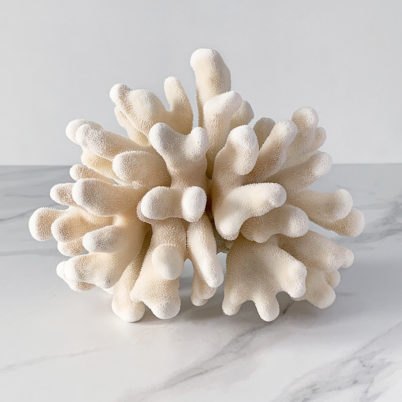 Статуэтка Elkhorn Coral Статуэтка Elkhorn Coral в Липецке | Loft Concept
