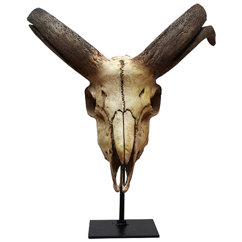 Аксессуар Goat Skull Бежевый Коричневый Черный Аксессуар Goat Skull Бежевый Коричневый Черный в Липецке | Loft Concept