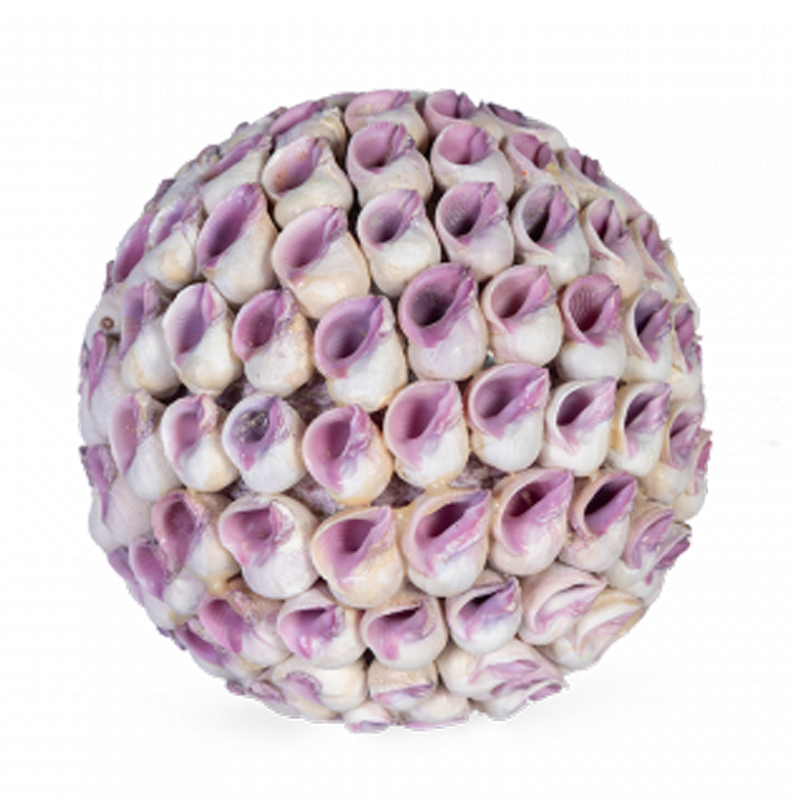 Статуэтка Coral Decor ball Коричневый Статуэтка Coral Decor ball Коричневый в Липецке | Loft Concept