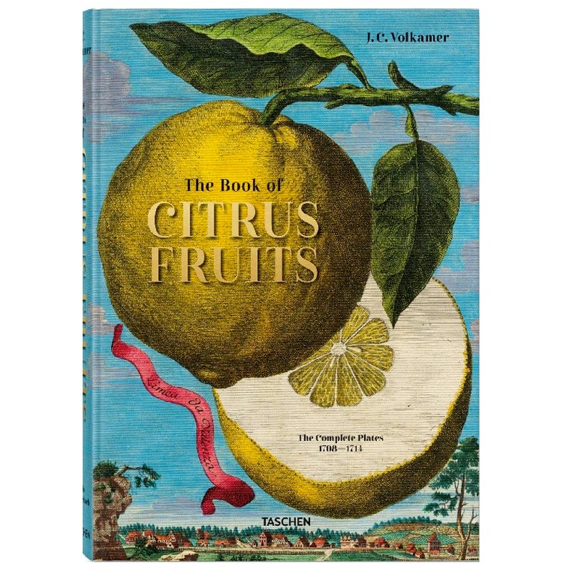 Volkamer Citrus Fruits Volkamer Citrus Fruits в Липецке | Loft Concept