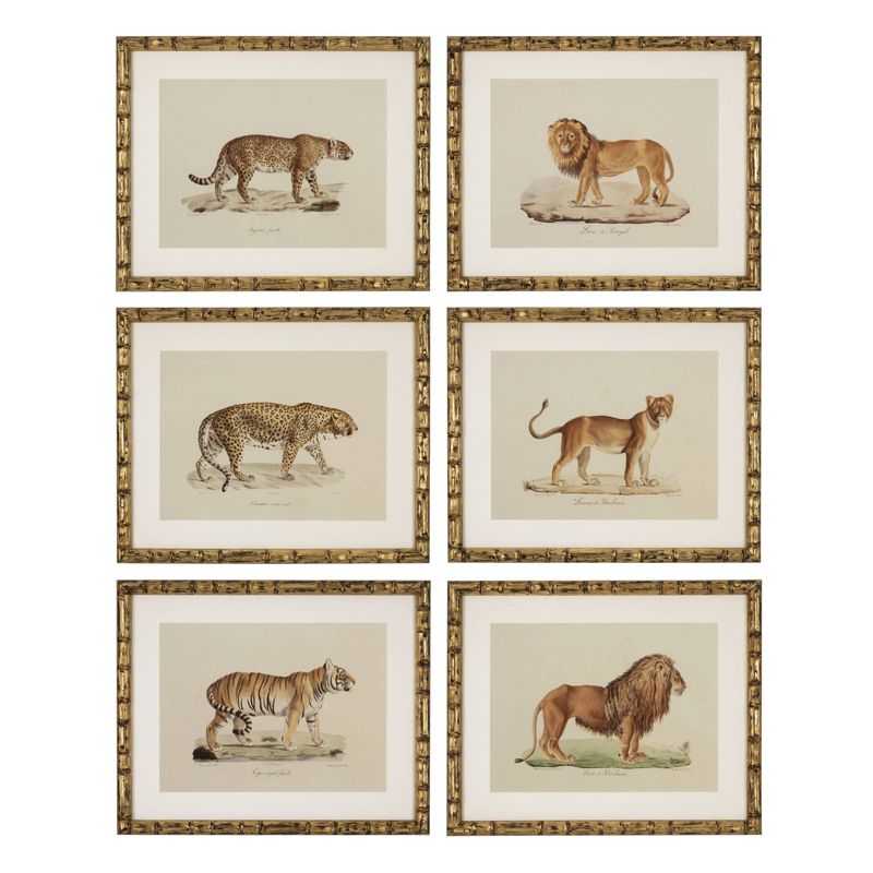 Комплект постеров Eichholtz Prints Lion Tigre Jaguar set of 6 Золотой Бежевый Мульти Комплект постеров Eichholtz Prints Lion Tigre Jaguar set of 6 Золотой Бежевый Мульти в Липецке | Loft Concept
