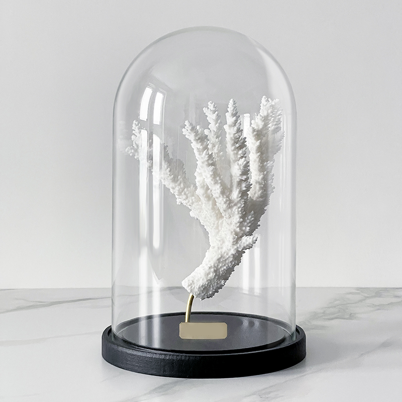 Статуэтка Natural Coral Branch Glass Cloche Статуэтка Natural Coral Branch Glass Cloche в Липецке | Loft Concept