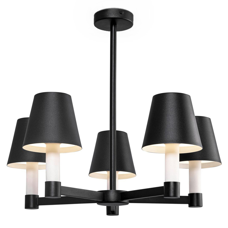 Люстра Eremon Chandelier 5 Черный Люстра Eremon Chandelier 5 Черный в Липецке | Loft Concept