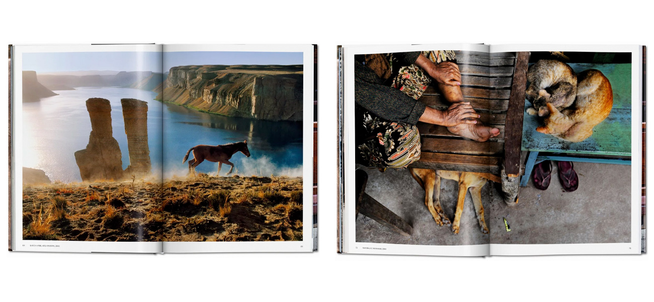 Steve McCurry. Animals - фото №1