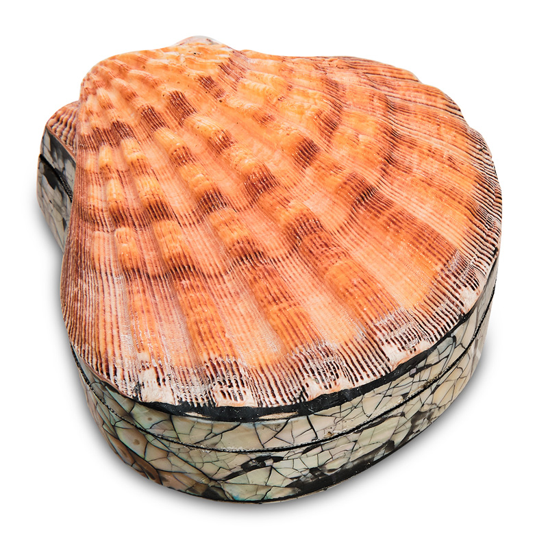 Шкатулка Shell Box II Коралловый Шкатулка Shell Box II Коралловый в Липецке | Loft Concept