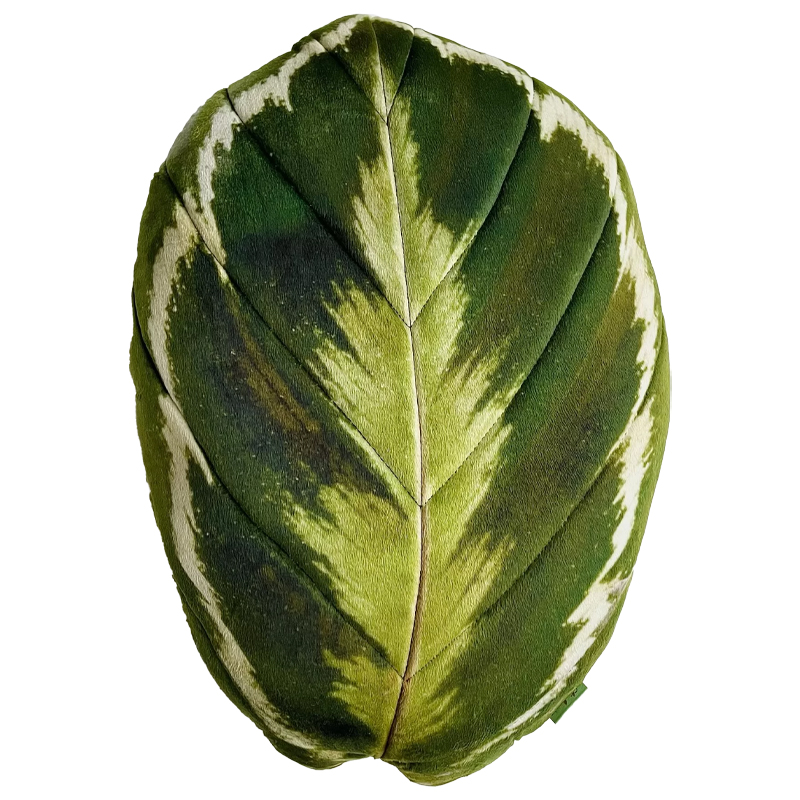Декоративная подушка Botanical Cushion Calathea Medallion Зеленый Декоративная подушка Botanical Cushion Calathea Medallion Зеленый в Липецке | Loft Concept