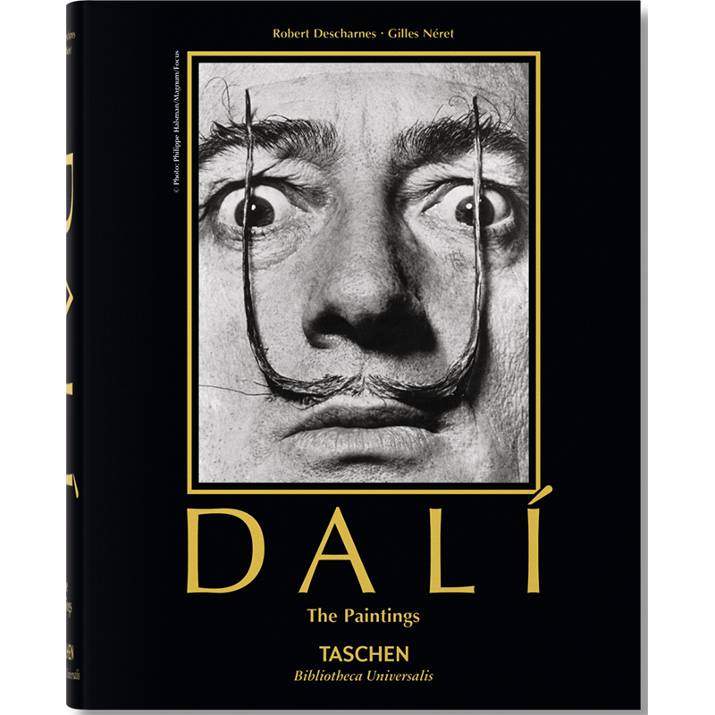 Salvador Dali. Paintings Salvador Dali. Paintings в Липецке | Loft Concept