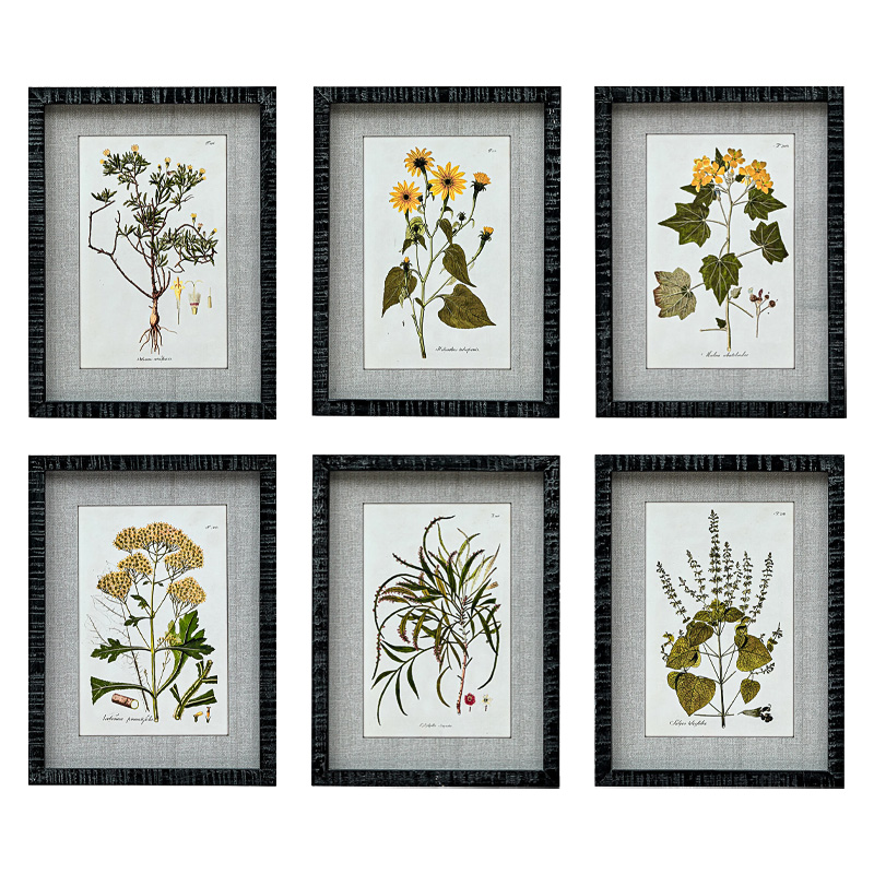 Набор постеров Herbarium Yellow Flowers Мульти Набор постеров Herbarium Yellow Flowers Мульти в Липецке | Loft Concept