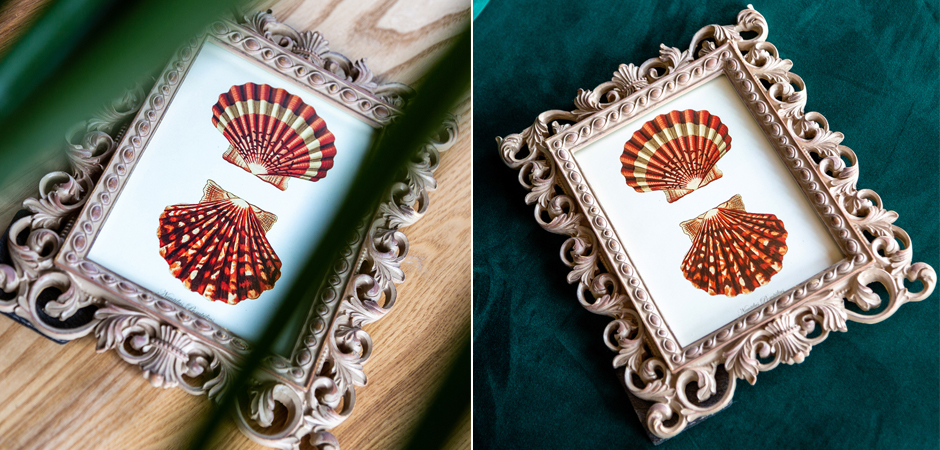 Постер Red Scallop Poster - Loft-Concept в Липецке