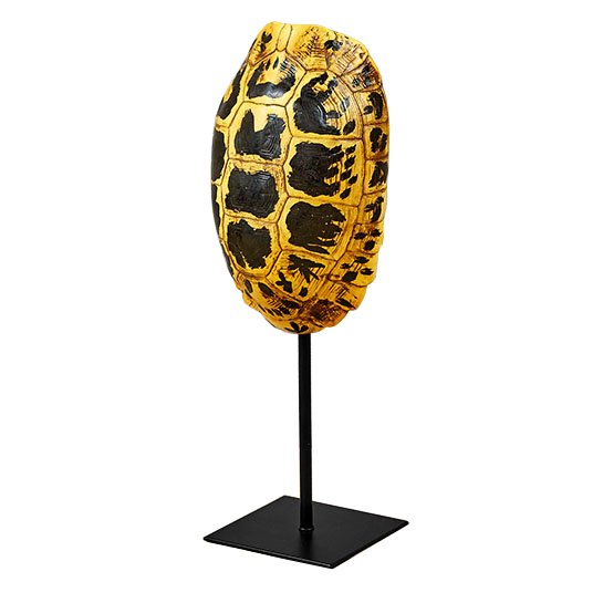 Статуэтка Yellow Tortoise Shell Черный Желтый Статуэтка Yellow Tortoise Shell Черный Желтый в Липецке | Loft Concept