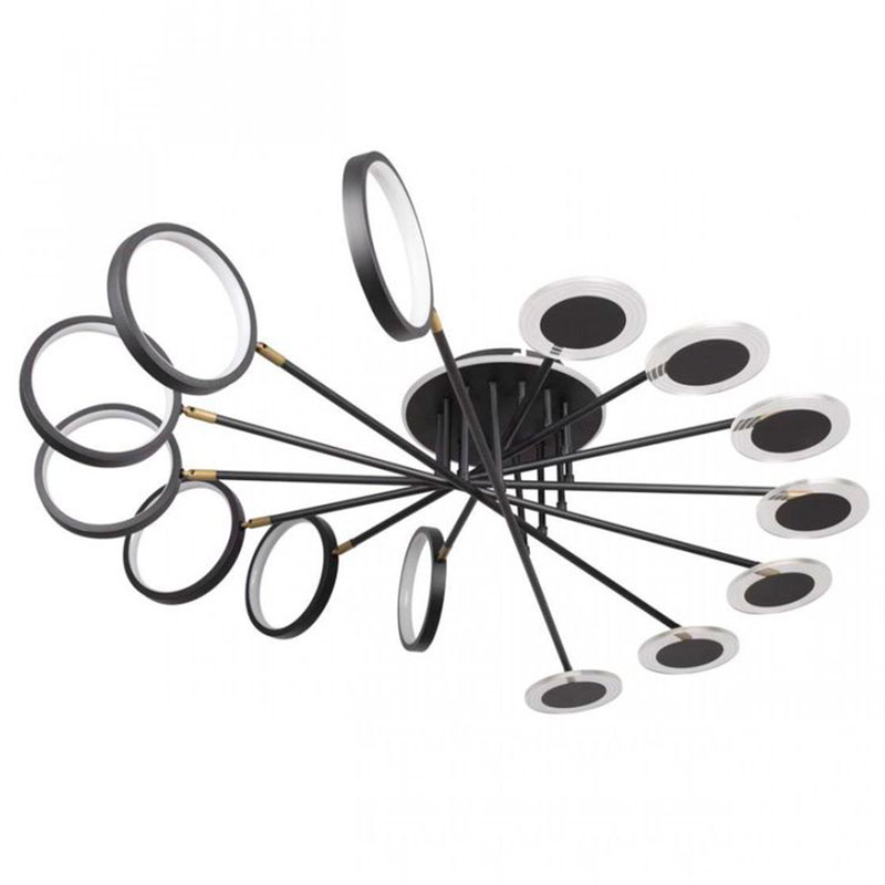 Люстра светодиодная BENDIK LIGHTING Black 14 плафонов Черный Прозрачный Люстра светодиодная BENDIK LIGHTING Black 14 плафонов Черный Прозрачный в Липецке | Loft Concept