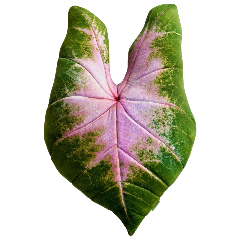 Декоративная подушка Botanical Cushion Caladium Bicolor Зеленый Розовый Декоративная подушка Botanical Cushion Caladium Bicolor Зеленый Розовый в Липецке | Loft Concept