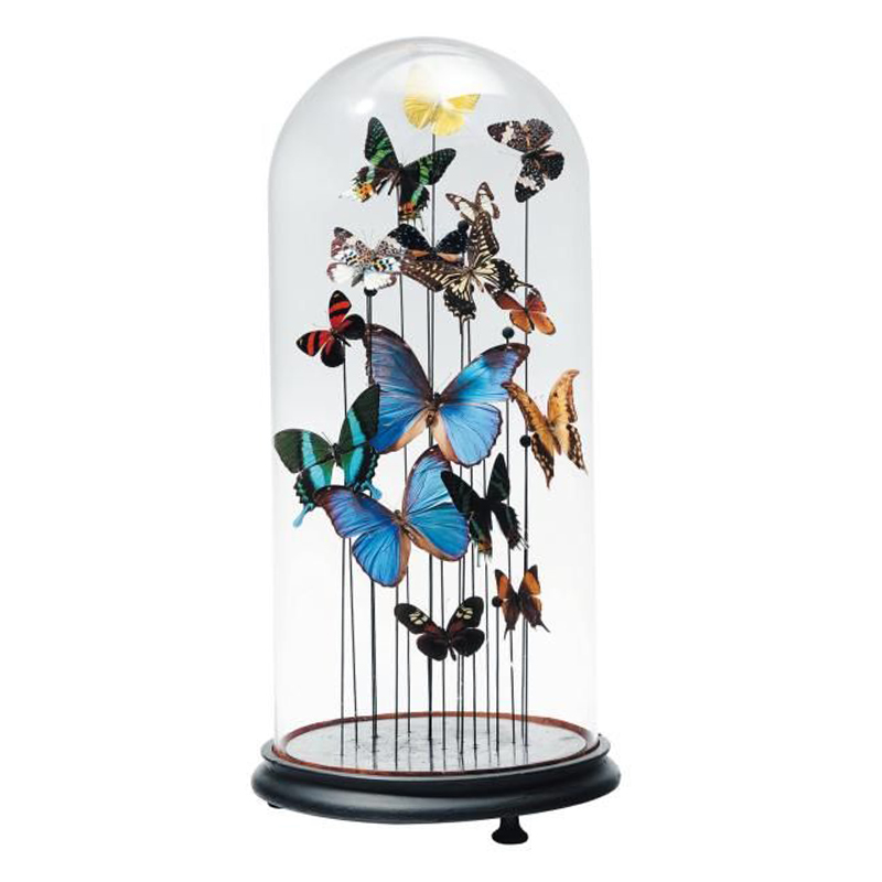 Статуэтка 15 Butterflies Glass Cloche Статуэтка 15 Butterflies Glass Cloche в Липецке | Loft Concept