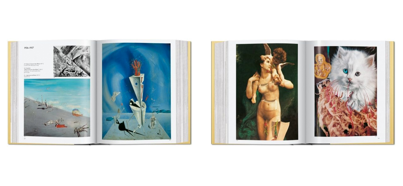 Dali. The Paintings 27 x 22 cm - фото