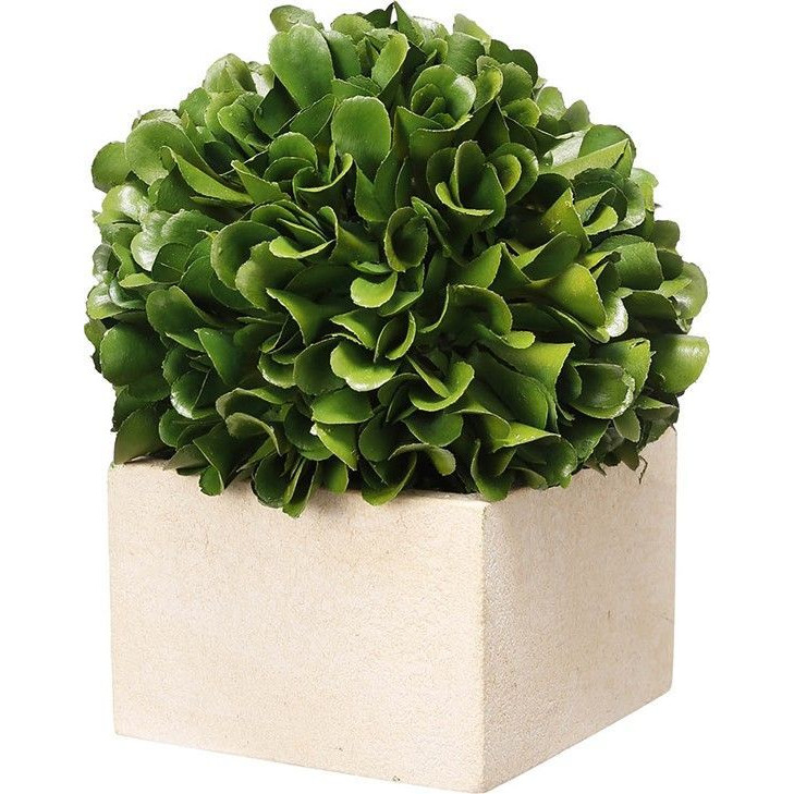 Декоративный искусственное растение Square boxwood Зеленый Бежевый Декоративный искусственное растение Square boxwood Зеленый Бежевый в Липецке | Loft Concept