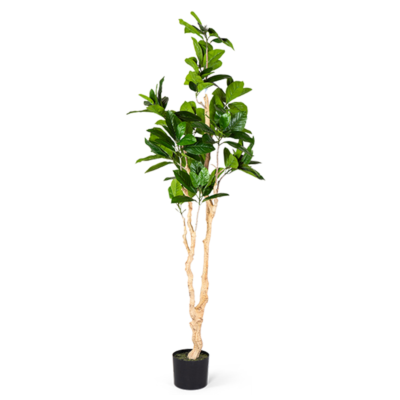 Декоративный искусственный цветок Decorative Tree h187 Зеленый Декоративный искусственный цветок Decorative Tree h187 Зеленый в Липецке | Loft Concept