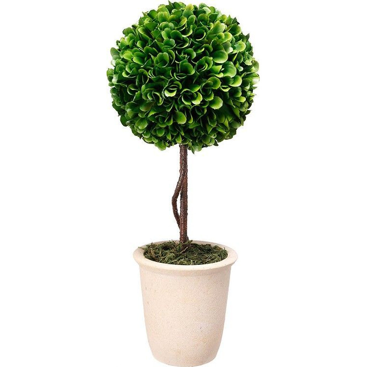 Декоративный искусственное растение Single boxwood Зеленый Бежевый Коричневый Декоративный искусственное растение Single boxwood Зеленый Бежевый Коричневый в Липецке | Loft Concept