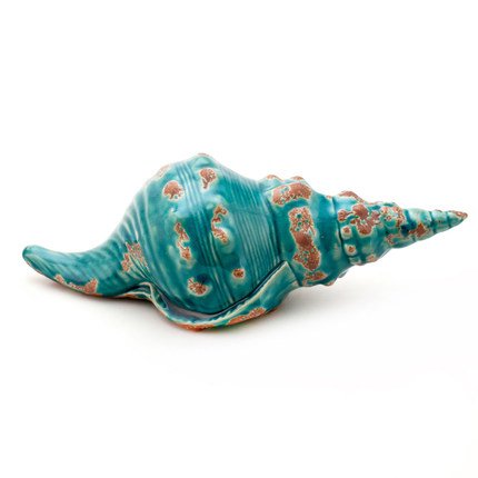Ракушка Shell Turquoise #1 Бирюзовый Ракушка Shell Turquoise #1 Бирюзовый в Липецке | Loft Concept