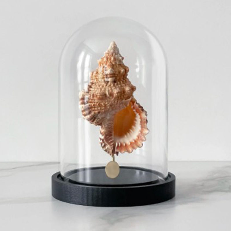 Статуэтка Bursa Rubeta Glass Cloche Статуэтка Bursa Rubeta Glass Cloche в Липецке | Loft Concept