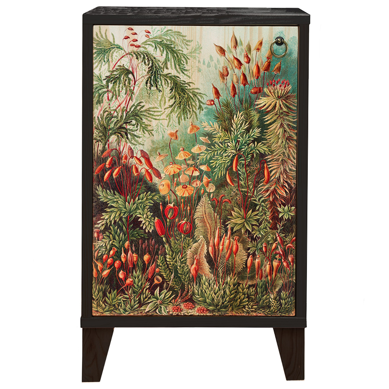 Тумба с цветочным изображением Floral Print Nighstand Черный Мульти Тумба с цветочным изображением Floral Print Nighstand Черный Мульти в Липецке | Loft Concept