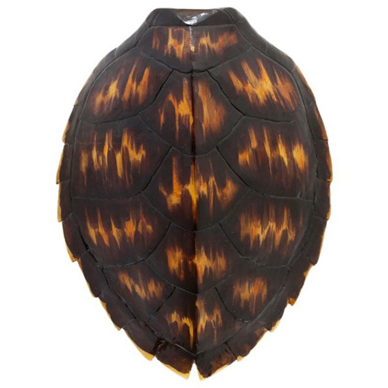 Аксессуар Turtle Shell Brown Orange Коричневый Оранжевый Аксессуар Turtle Shell Brown Orange Коричневый Оранжевый в Липецке | Loft Concept