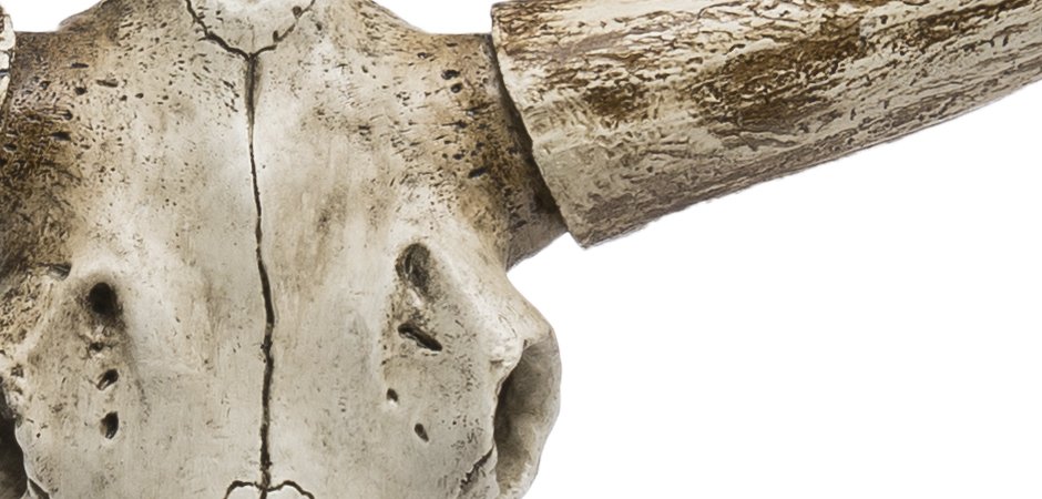 Череп быка Bull Skull Череп быка Bull Skull - Loft-Concept в Липецке