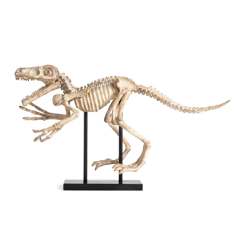 Статуэтка Dinosaur Skeleton big Бежево-серый Статуэтка Dinosaur Skeleton big Бежево-серый в Липецке | Loft Concept