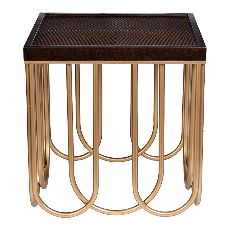 Приставной стол Cassel Side Table Дерево Табак Золотой Приставной стол Cassel Side Table Дерево Табак Золотой в Липецке | Loft Concept