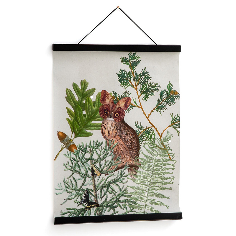 Постер Poster of Plants & Birds сова Мульти Постер Poster of Plants & Birds сова Мульти в Липецке | Loft Concept