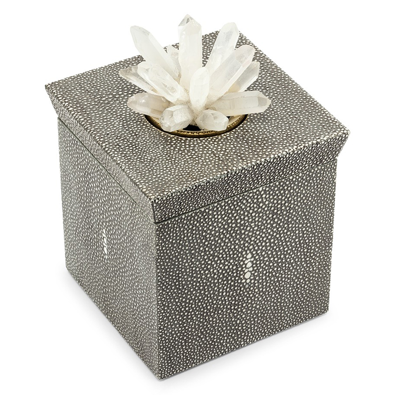 Шкатулка BOX KRIZIA STING SQ Светло-серый Прозрачный Шкатулка BOX KRIZIA STING SQ Светло-серый Прозрачный в Липецке | Loft Concept