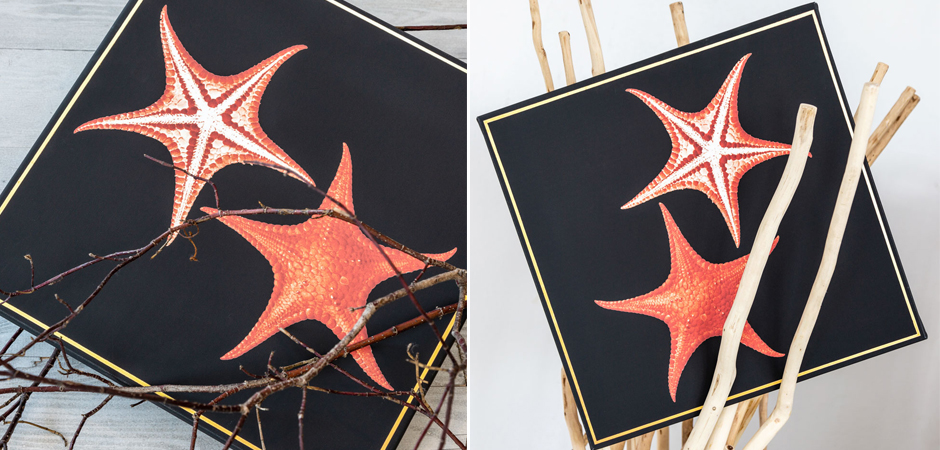 Постер Sea Stars Poster Постер Sea Stars Poster - Loft-Concept в Липецке