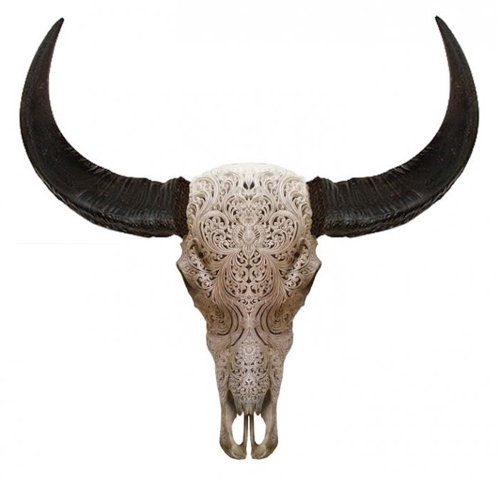Череп буйвола с резьбой Buffalo Skull Tribal Carving Белый Череп буйвола с резьбой Buffalo Skull Tribal Carving Белый в Липецке | Loft Concept