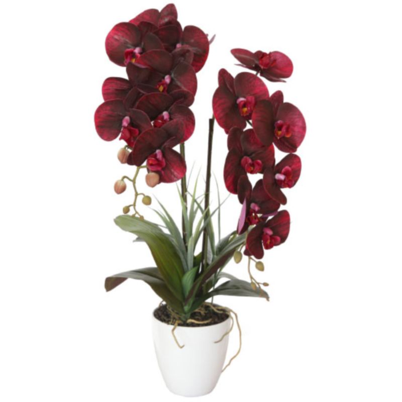 Искусственная орхидея Мультифлора burgundy Бордовый Искусственная орхидея Мультифлора burgundy Бордовый в Липецке | Loft Concept