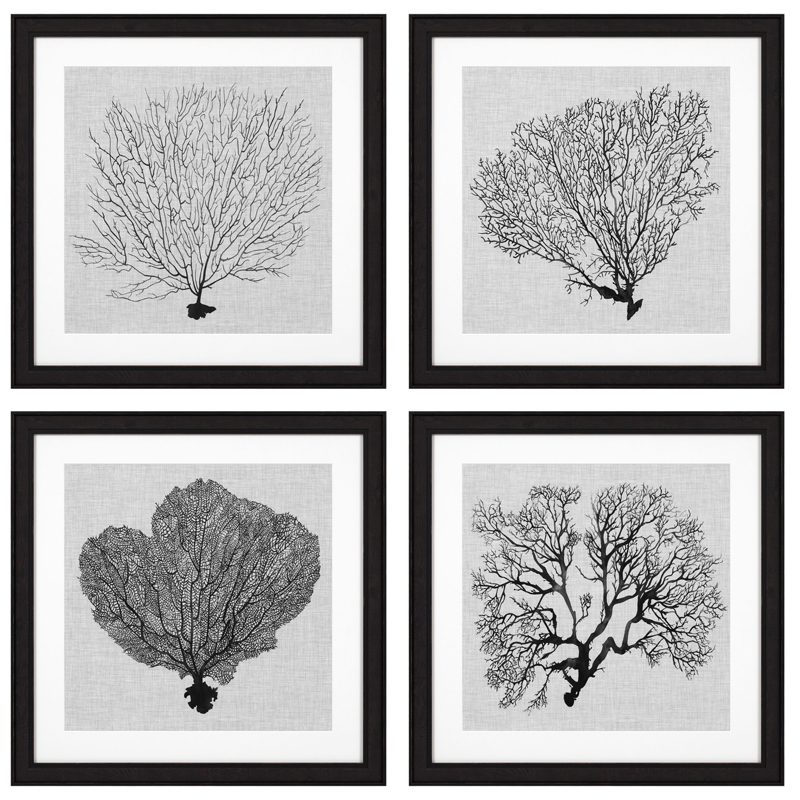 Комплект постеров Eichholtz Prints Shadow Sea Fans set of 4 Черный Черно-белый Комплект постеров Eichholtz Prints Shadow Sea Fans set of 4 Черный Черно-белый в Липецке | Loft Concept