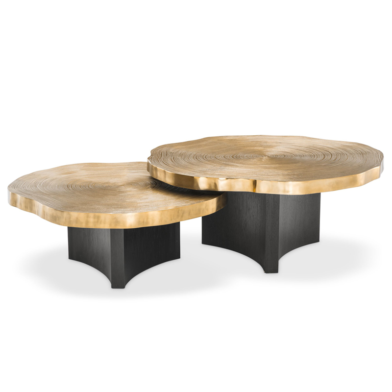 Комплект кофейных столов Eichholtz Coffee Table Thousand Oaks set of 2 Черный Латунь Комплект кофейных столов Eichholtz Coffee Table Thousand Oaks set of 2 Черный Латунь в Липецке | Loft Concept
