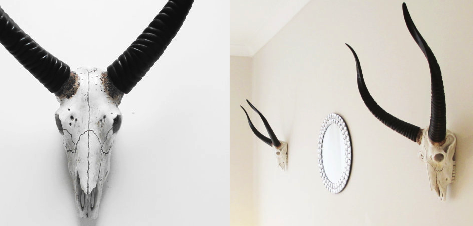 Череп антилопы с черными рогами - Loft-Concept в Липецке