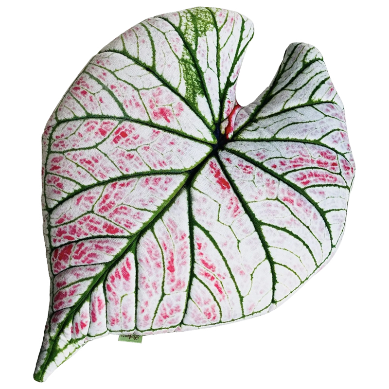 Декоративная подушка Botanical Cushion Caladium Rosebud Зеленый Бежевый Розовый Декоративная подушка Botanical Cushion Caladium Rosebud Зеленый Бежевый Розовый в Липецке | Loft Concept