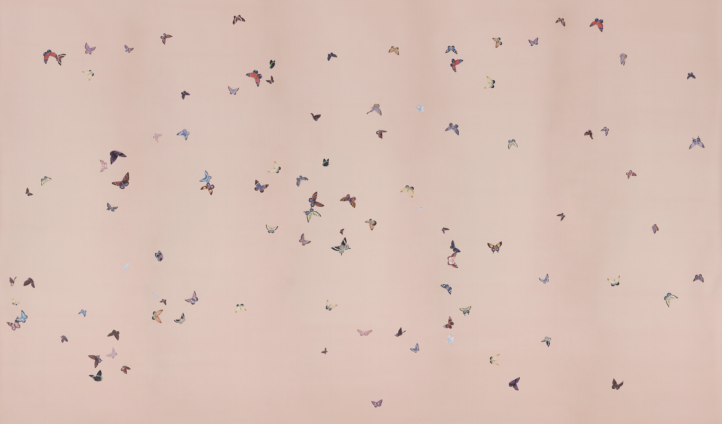 Обои ручная роспись Butterflies Icarus on Gentleman's Pink dyed silk Обои ручная роспись Butterflies Icarus on Gentleman's Pink dyed silk - постер Loft-Concept в Липецке