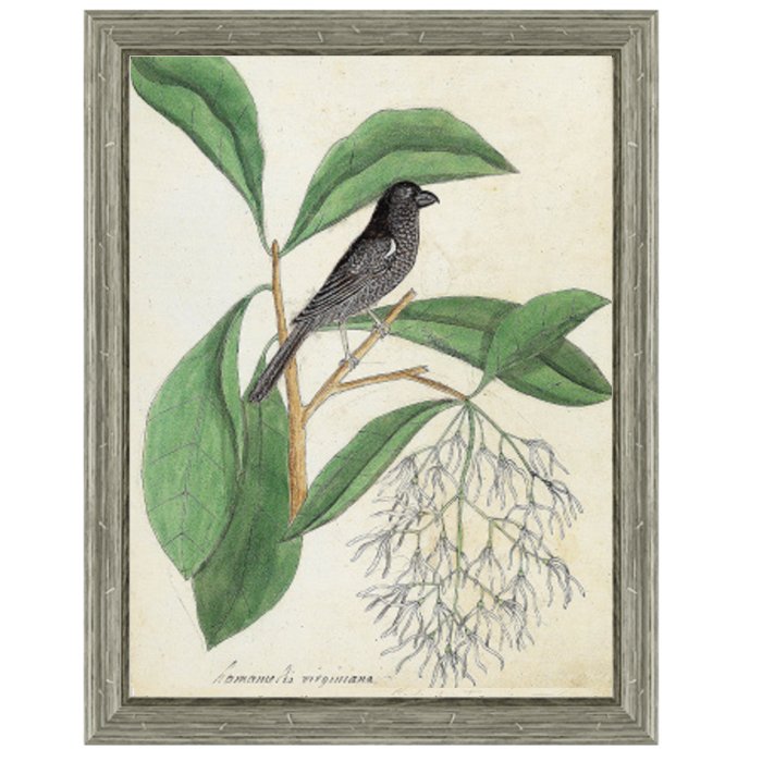 Постер Black Bird & White Flowers  в Липецке | Loft Concept 