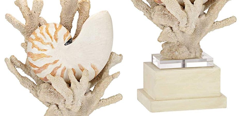 Nautilus Shell and White Coral Table Lamp Nautilus Shell and White Coral Table Lamp - Loft-Concept в Липецке