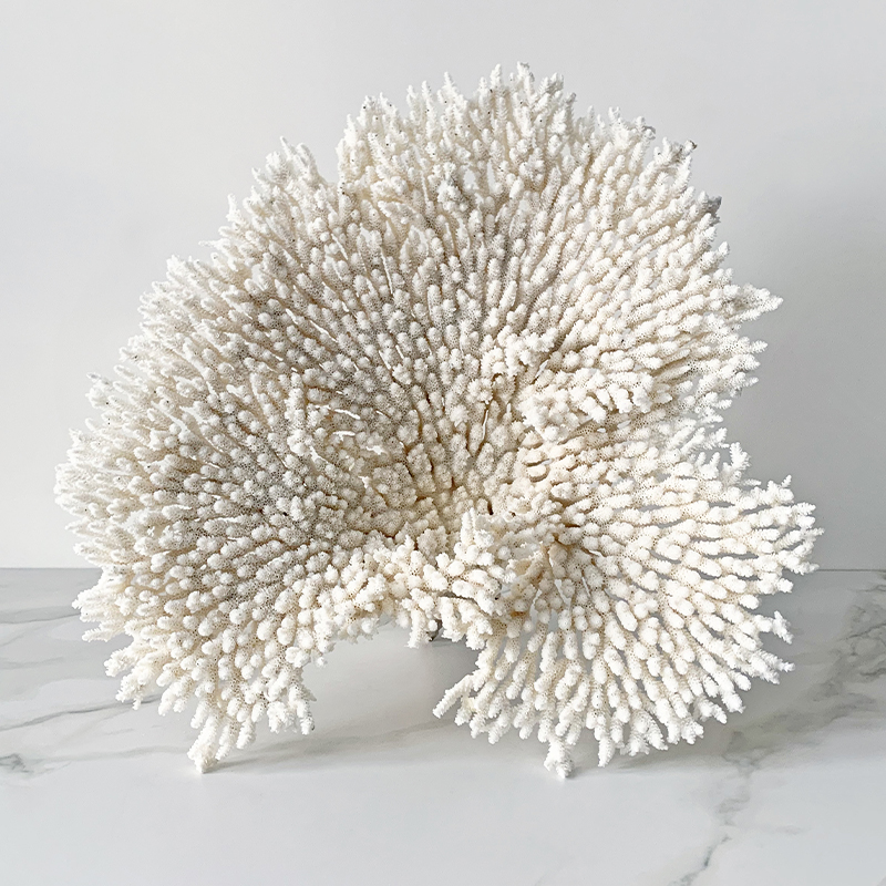 Статуэтка Table Coral Статуэтка Table Coral в Липецке | Loft Concept