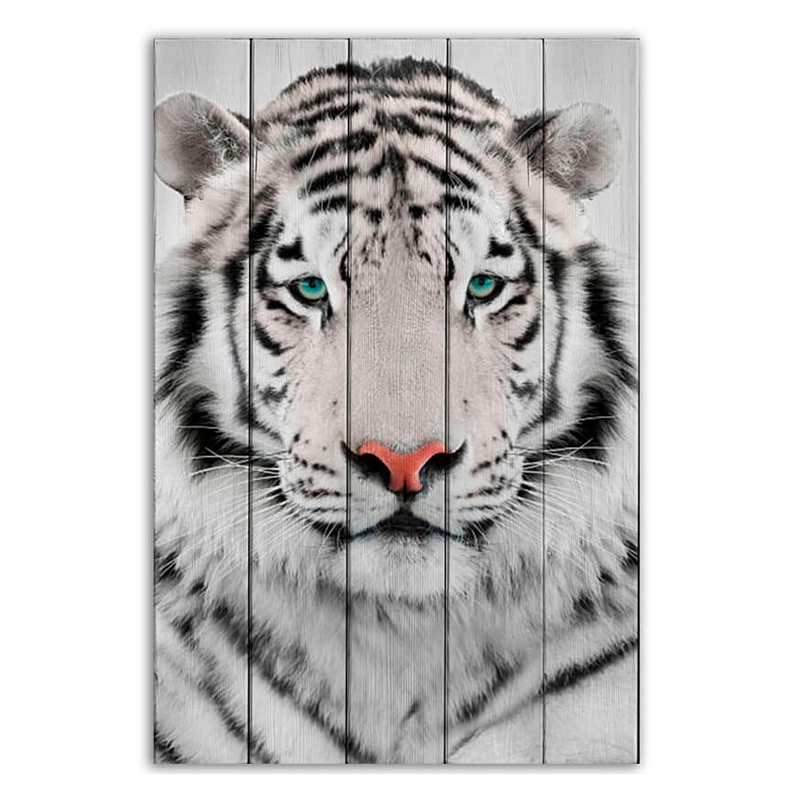 Постер White Tiger Постер White Tiger в Липецке | Loft Concept