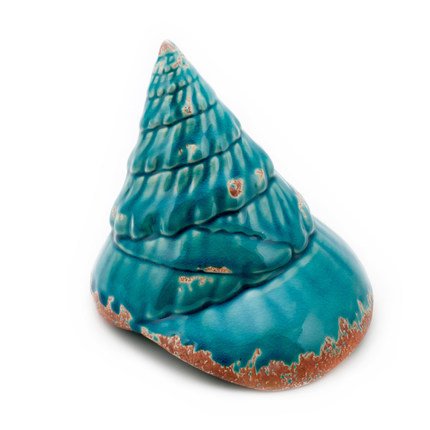 Ракушка Shell Turquoise #2 Бирюзовый Ракушка Shell Turquoise #2 Бирюзовый в Липецке | Loft Concept