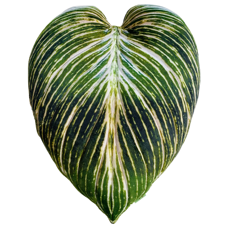 Декоративная подушка Botanical Cushion Philodendron Birkin Зеленый Салатовый Белый Декоративная подушка Botanical Cushion Philodendron Birkin Зеленый Салатовый Белый в Липецке | Loft Concept
